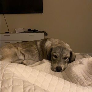 Meet your Posher, Kelli